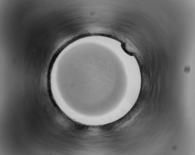 X0000103450391200810241150