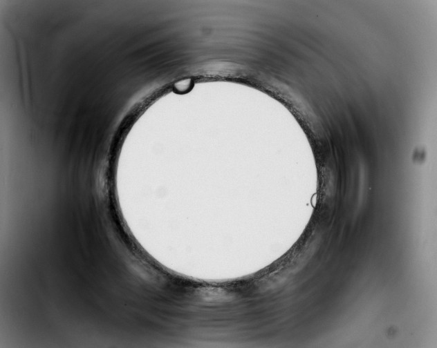 X0000103450392200810241150