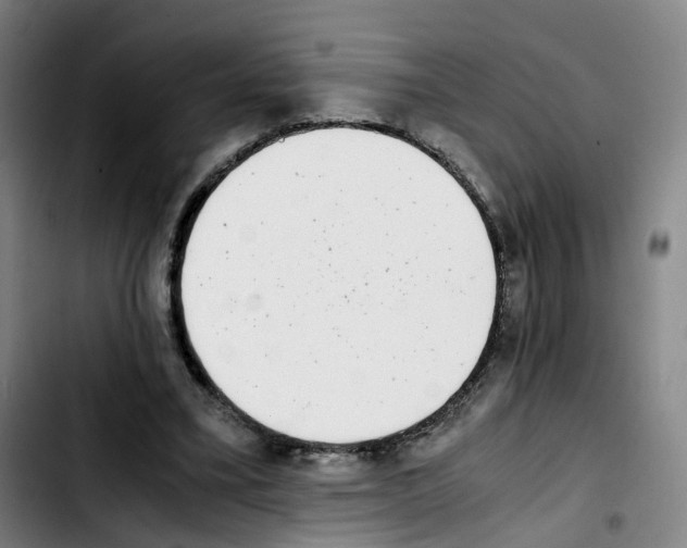 X0000103450395200810241150