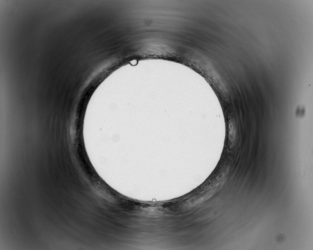 X0000103450396200810241150