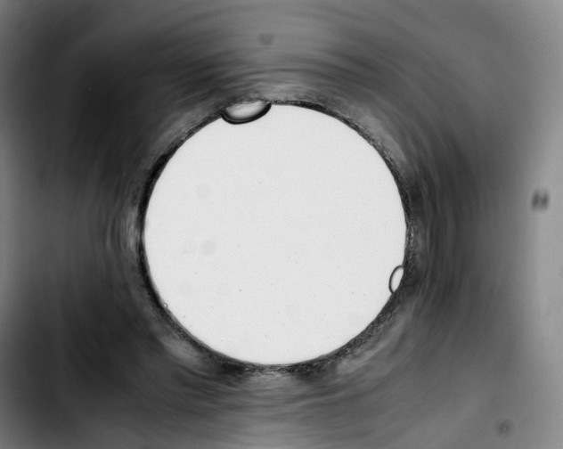 X0000103450397200810241150