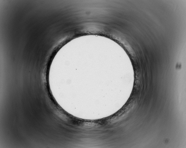 X0000103450399200810241150