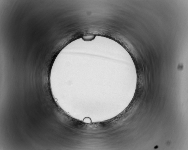 X0000103450401200810241150