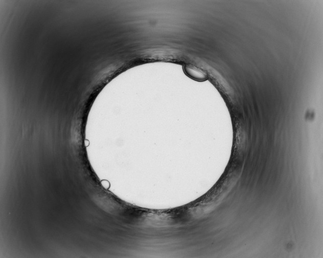 X0000103450403200810241150