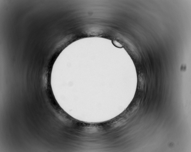 X0000103450404200810241150