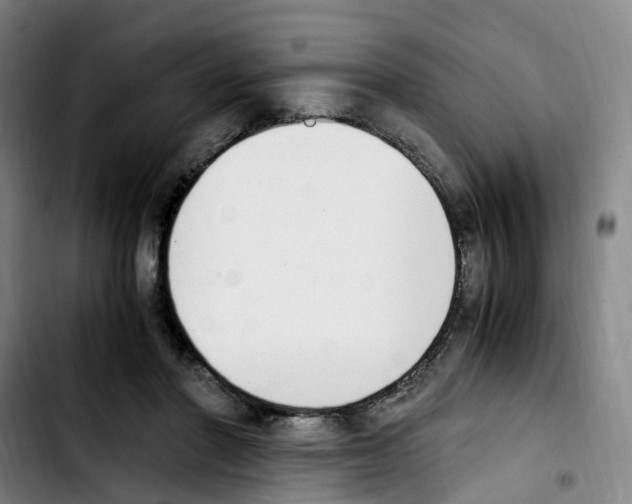 X0000103450406200810241150