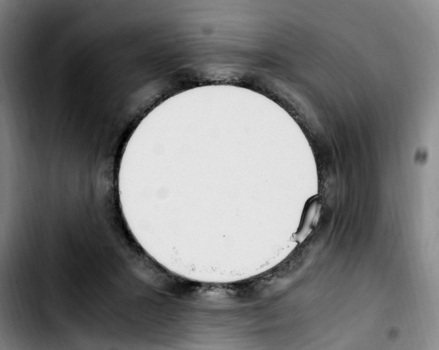 X0000103450407200810241150