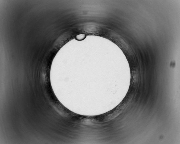 X0000103450408200810241150