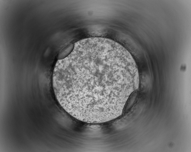 X0000103450409200810241150