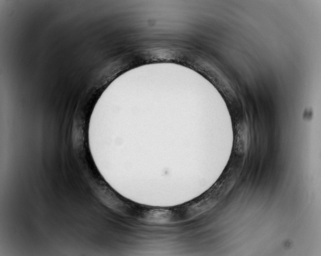 X0000103450410200810241150