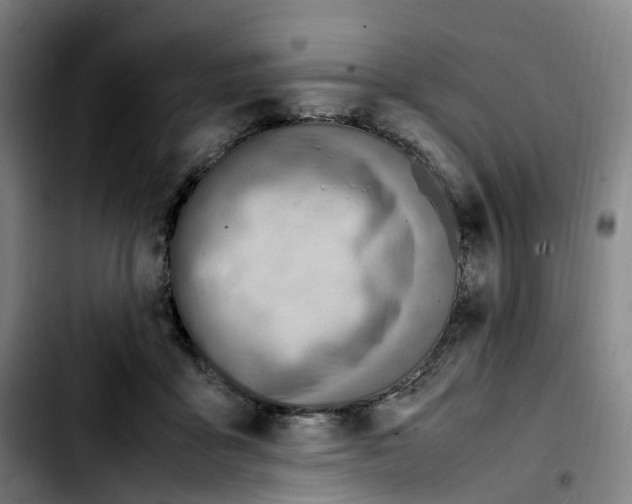 X0000103450411200810241150