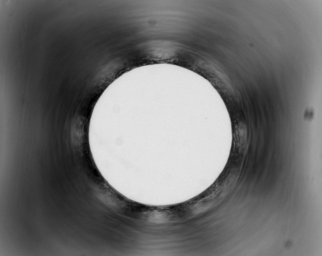 X0000103450412200810241150