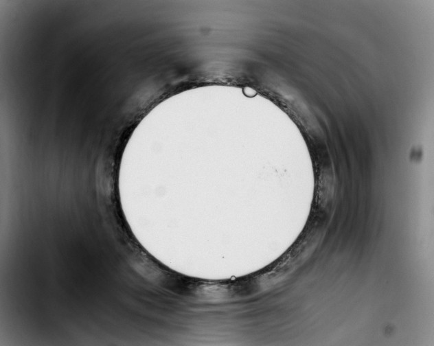 X0000103450413200810241150