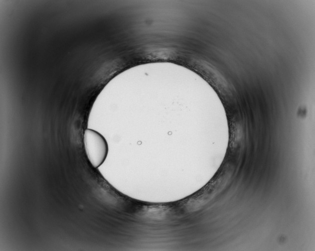 X0000103450414200810241150