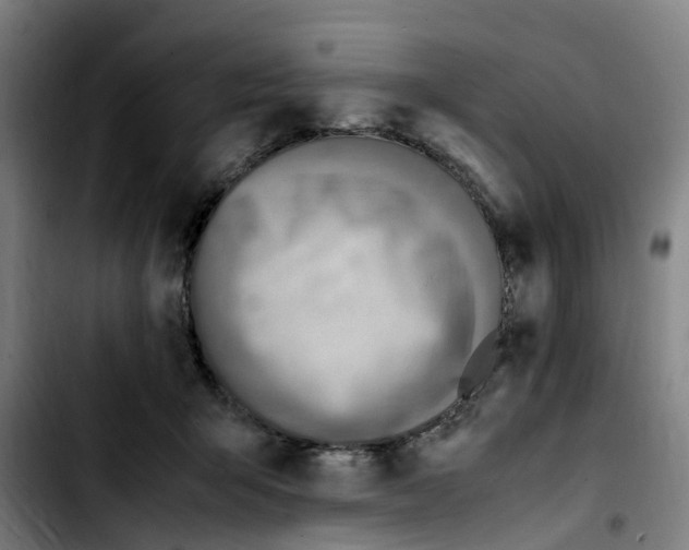 X0000103450415200810241150