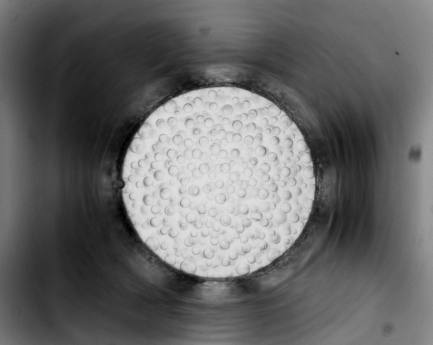 X0000103450418200810241150