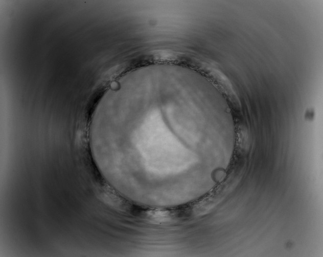 X0000103450419200810241149