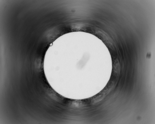 X0000103450420200810241149