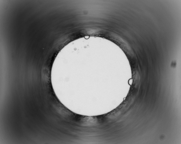 X0000103450421200810241149