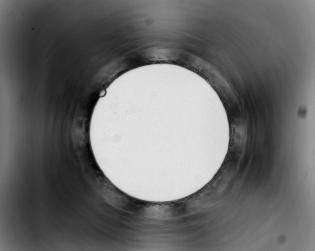 X0000103450422200810241149