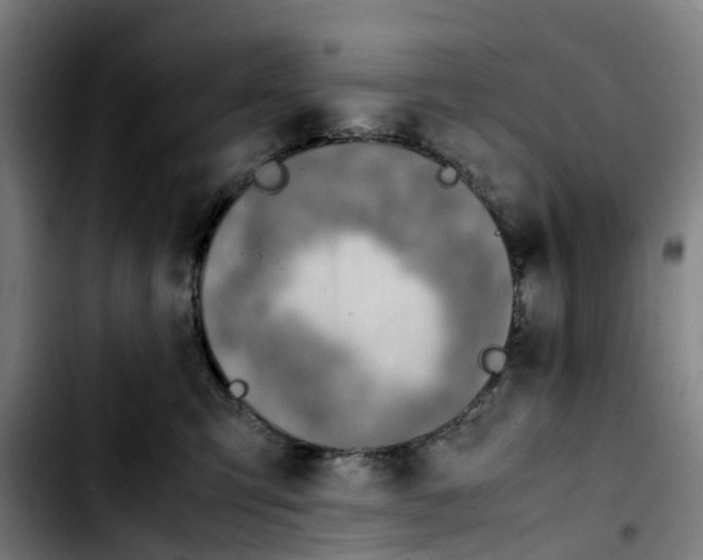 X0000103450423200810241149