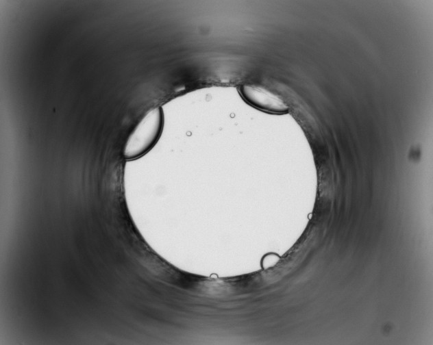 X0000103450425200810241149