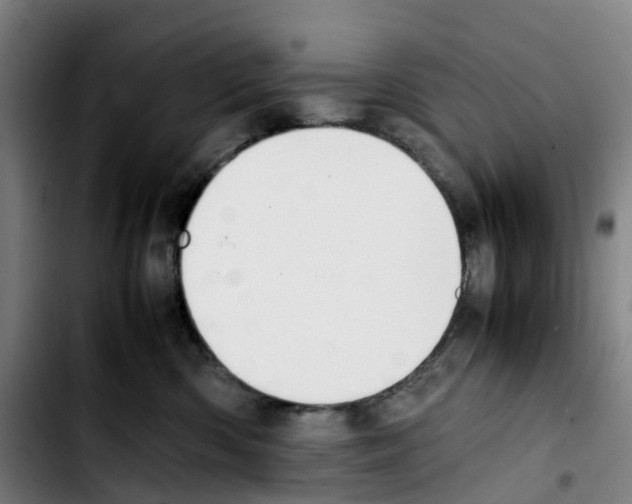 X0000103450426200810241149