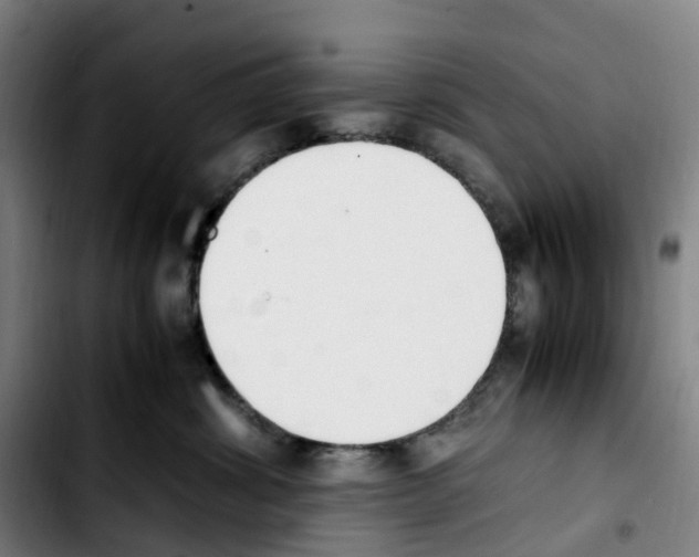 X0000103450428200810241149