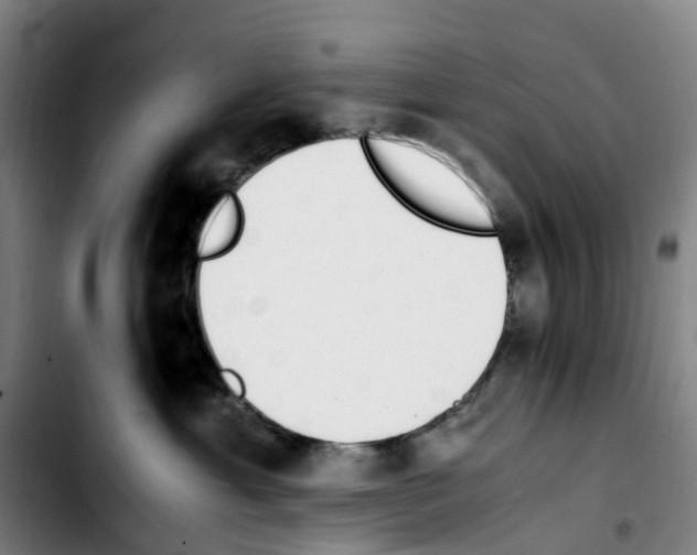 X0000103450429200810241149