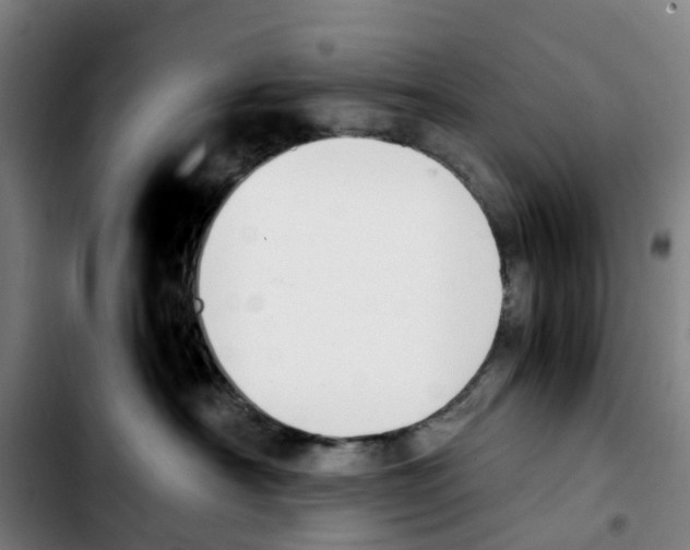 X0000103450430200810241149