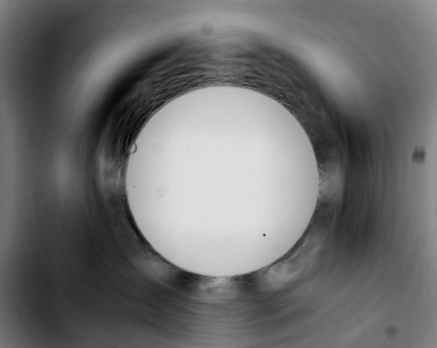 X0000103450431200810241149