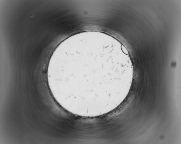 X0000103450433200810241149