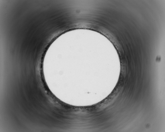 X0000103450434200810241149