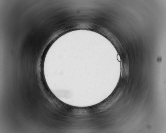 X0000103450435200810241149