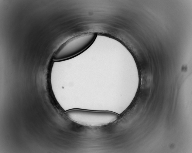 X0000103450436200810241149