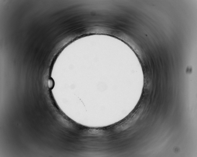 X0000103450437200810241149