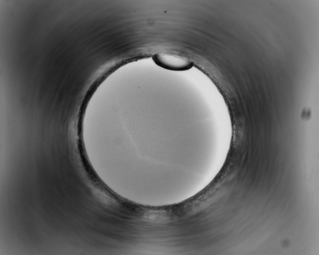 X0000103450438200810241149