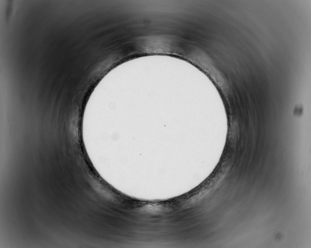 X0000103450441200810241149