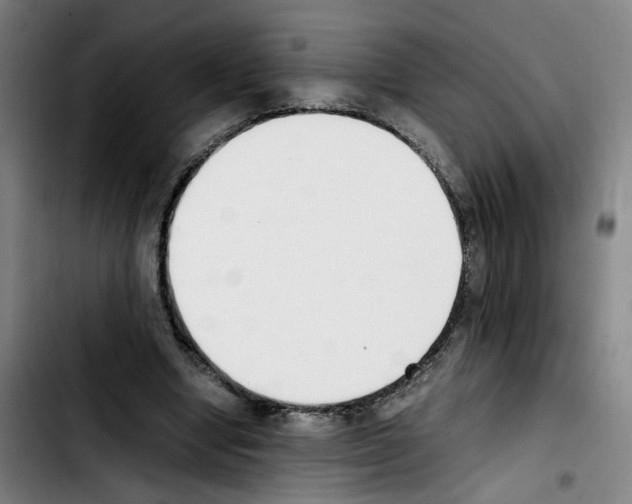 X0000103450442200810241149