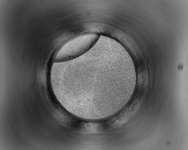 X0000103450444200810241149