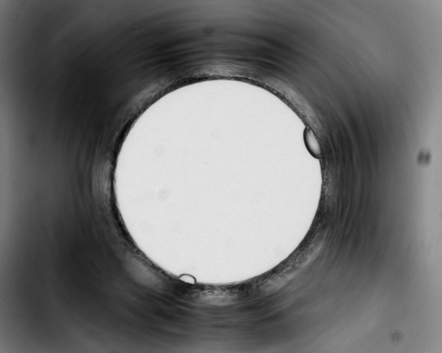 X0000103450445200810241149