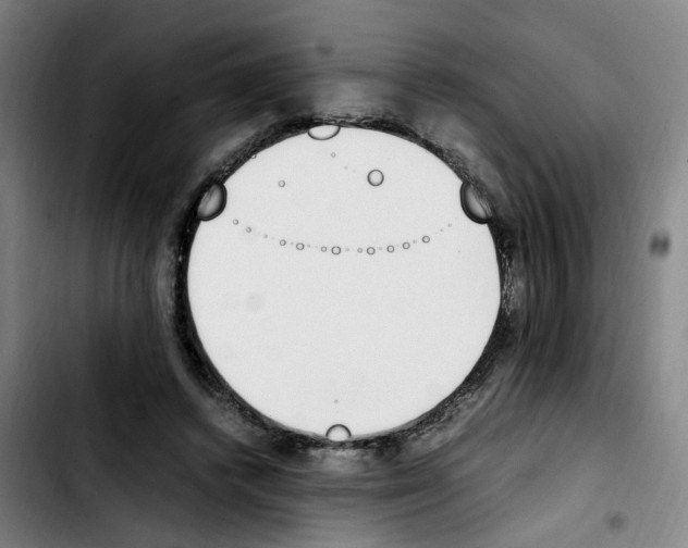 X0000103450448200810241149