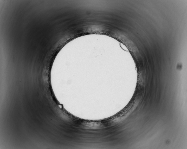 X0000103450449200810241149