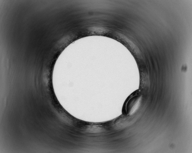 X0000103450451200810241149