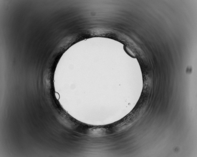 X0000103450452200810241149