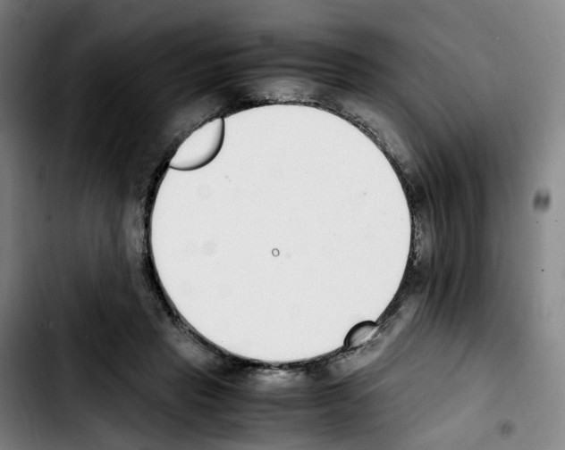 X0000103450453200810241149