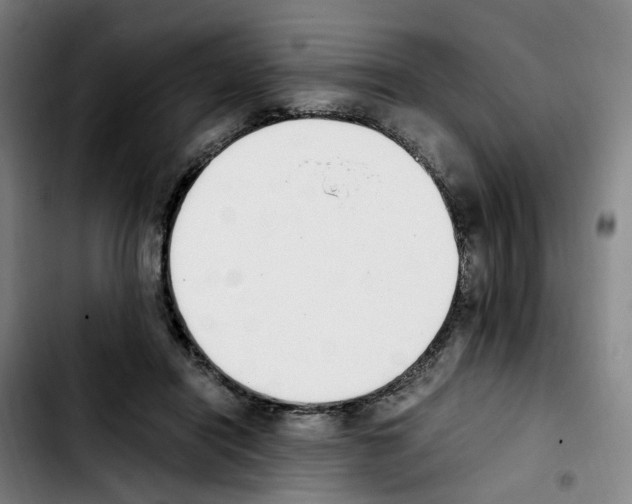 X0000103450454200810241149