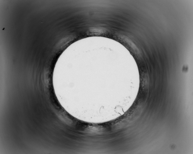 X0000103450455200810241149