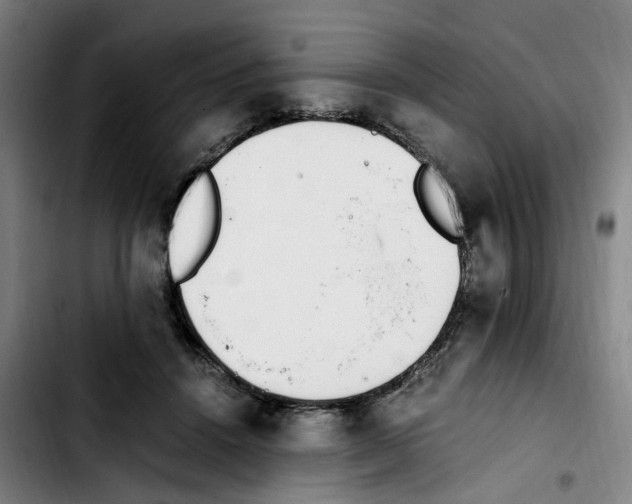 X0000103450456200810241149