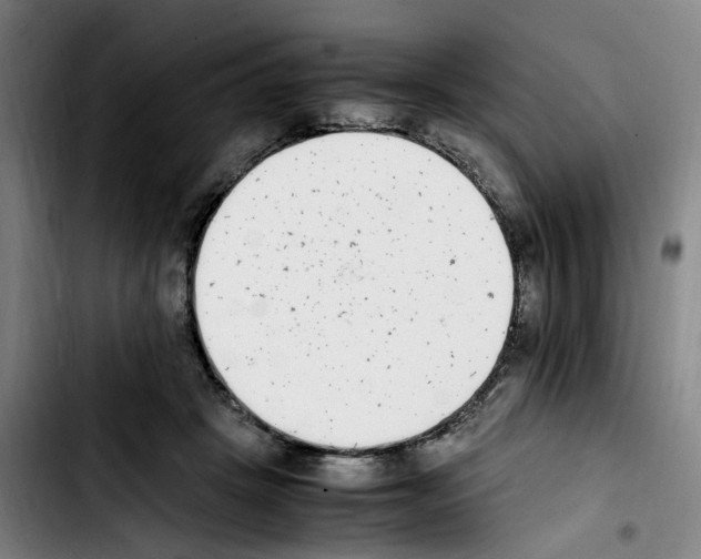 X0000103450457200810241149